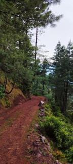 Hill views kotli sattian - 1