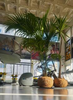 Alex Beach Apartment 203 - 5