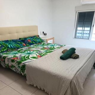 San Jose Luminoso - 7