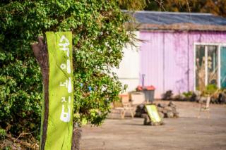 서귀포펜션 중문 안덕 독채민박 바베큐 불멍 공항버스직행 마당150평 미친 가성비숙소 - 8