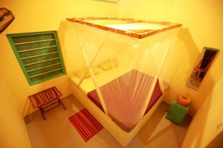 Funkey Moneky Hiriketiya - 7