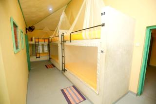 Funkey Moneky Hiriketiya - 4