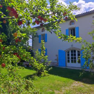 Gîte Fleur De Pastel - 4 Épis - - 9