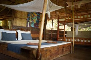 Kactus - Your Island Sanctuary - 9