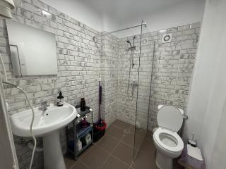 Casa Brăduț Sinaia - 2