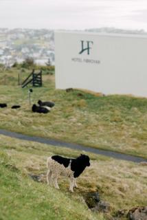 Hotel Føroyar - 1