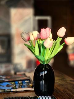 Twin Cabins / Cabanele Gemene - 9