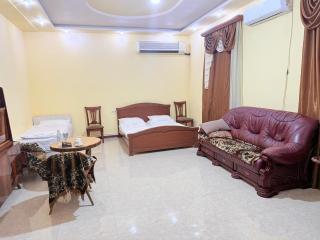 Garden EVN Airport 5 min from Airport - 9