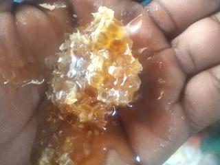 Nature flows Eco-Farm cottage & campsite - 5