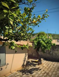 San Corrado House - 0