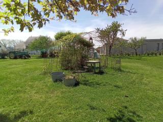 Le Ronsard - 9