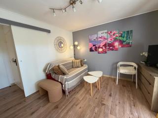 JolieT2 ,RDC,piscine,clim,parking,tennis ,Canet en Roussillon - 4