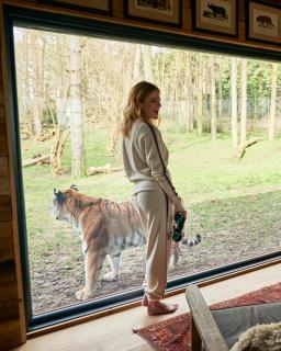 Tiger Lodge - At Port Lympne Hotel & Reserve - 0