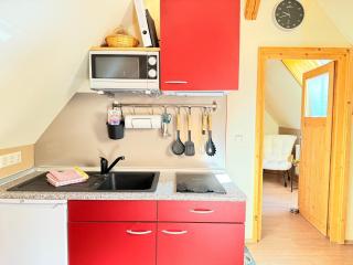 Schwarzwaldhaus Zwink - 2