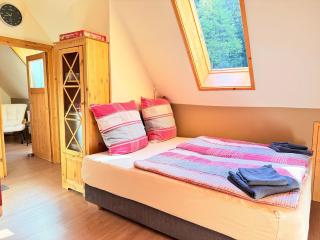 Schwarzwaldhaus Zwink - 1