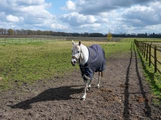 Holiday Home Schoonoord near Kibbelkoele - 4