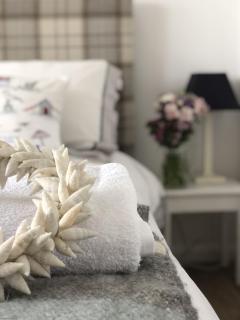 The Old Brewhouse No1 - Appledore - 3