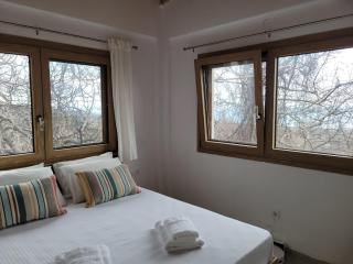 Forest and Sea view villas - 3