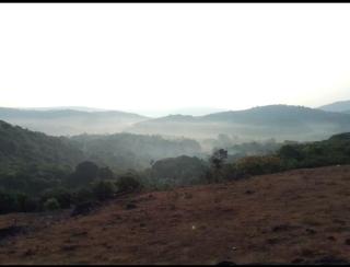 COORG CLlMATE STAY - 1