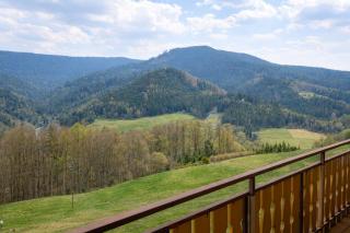 Kirchberg Apartments | Traumlage & Blick im Wald | Infrarotsauna | Hund - 4