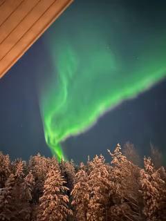 Lapland Prestige Villa Rovaniemi - 8