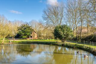 Huge 400 year old barn with snooker table - Black Swan Barn - 7
