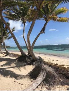 Appartement résidence de vacances vue mer - 8