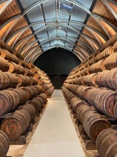 Appartement résidence de vacances vue mer - 2