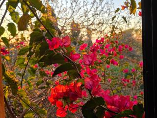 Agroturismo Finca Son Jorbo - Adults only - 8