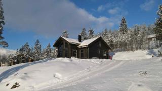 Brand-new cabin for rent at Lemonsjøen - 0