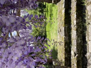 Casa Raíz y Cumbre - 2