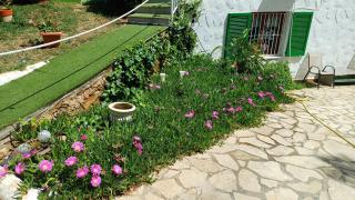 Ferienwohnung mit Privat-Pool - 7