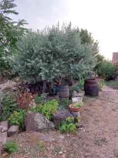 Villa Anna con giardino - 7