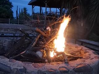 Buck Hill Bush Lodge - 6