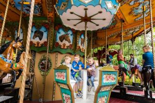 Boomhut Drouwenerzand - 6