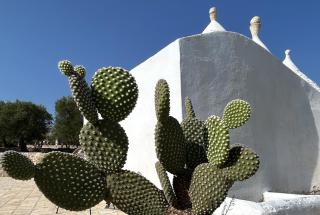 Trullo Thalia with Private Pool Ostuni - 5
