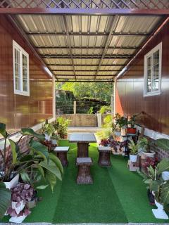 Little Misha Stay - 2