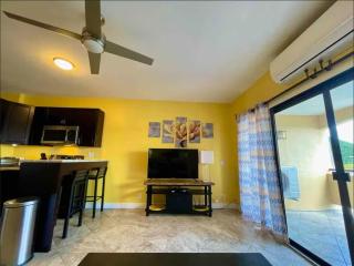 Island Couples Retreat - 1 Bed Condo in Red Hook - 2