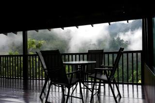 De Serenity Exclusive Jungle Resort Seremban - 8