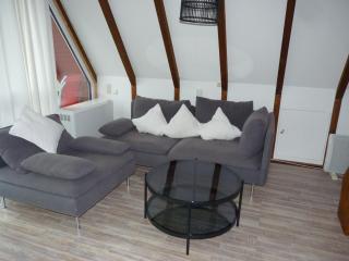 Ferienpark Vorauf Ferienhaus Typ B/Oslo - 4