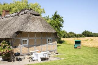 Urgemütliche Reetdachkate mit großem Kamin und Sauna - 6