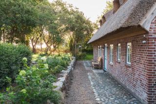 Entzückende Reetdachkate am Feldrand mit Kamin - 9