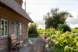 Entzückende Reetdachkate am Feldrand mit Kamin - 4