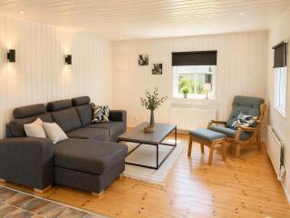 Only 150 m to the nearest lake and 2,5 km to the top of Isaberg - 4