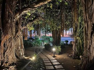 Esplanade Beachfront Residence - 5