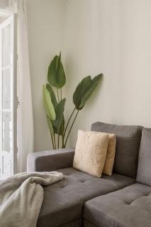 Boho Chic 2 bedroom gem 10 min from dowtown free parking - 5