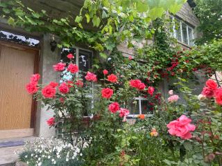 HOsT - Dilijan - 4