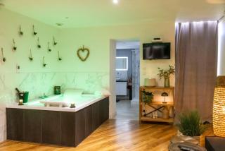 Le Carpe Diem - Détente & Bien-être - Balnéo, Sauna, Terrasse, Parking privé - 1