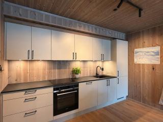 Charming new ski-in-ski-out apartment in Hemsedal - 4