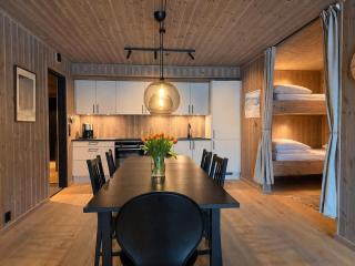 Charming new ski-in-ski-out apartment in Hemsedal - 1